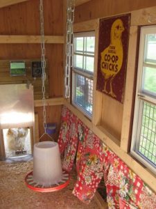Chicken Nest Box Curtains are More than a Fashion Statement Image